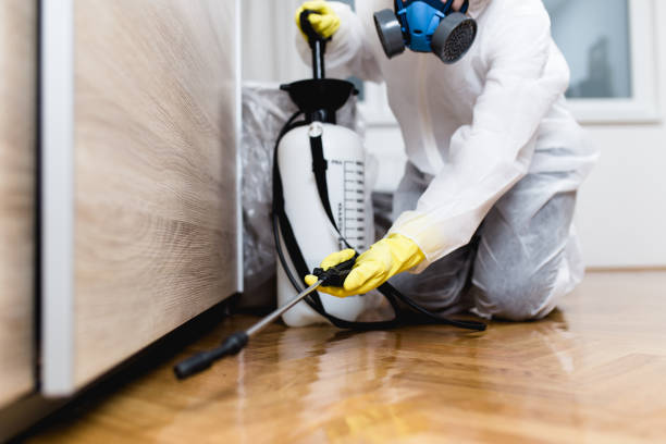 Best Cockroach Control Services  in Mcqueeney, TX