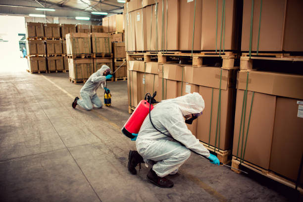 Best Bed Bug Extermination  in Mcqueeney, TX