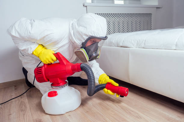 Best Termite Control Services  in Mcqueeney, TX