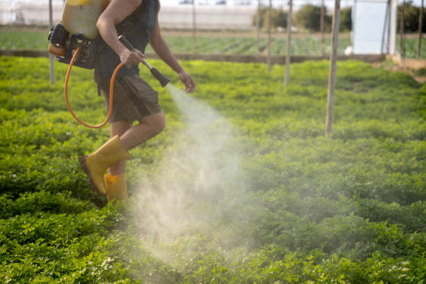 Best Pest Removal Services  in Mcqueeney, TX