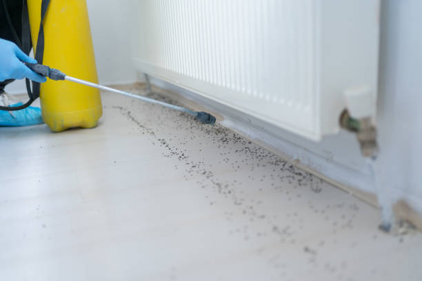 Mcqueeney, TX Pest Control Company